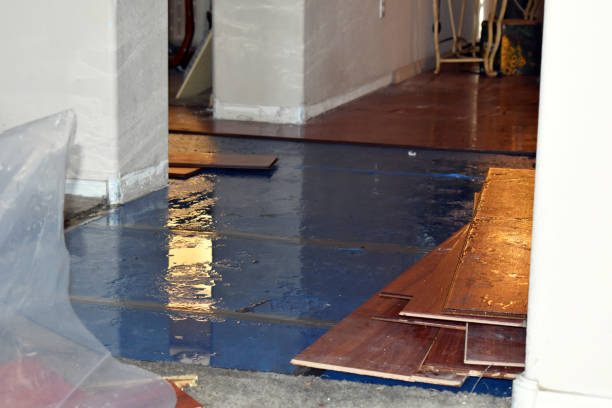 Professional Water Damage Restoration technician working in Wiggins, MS